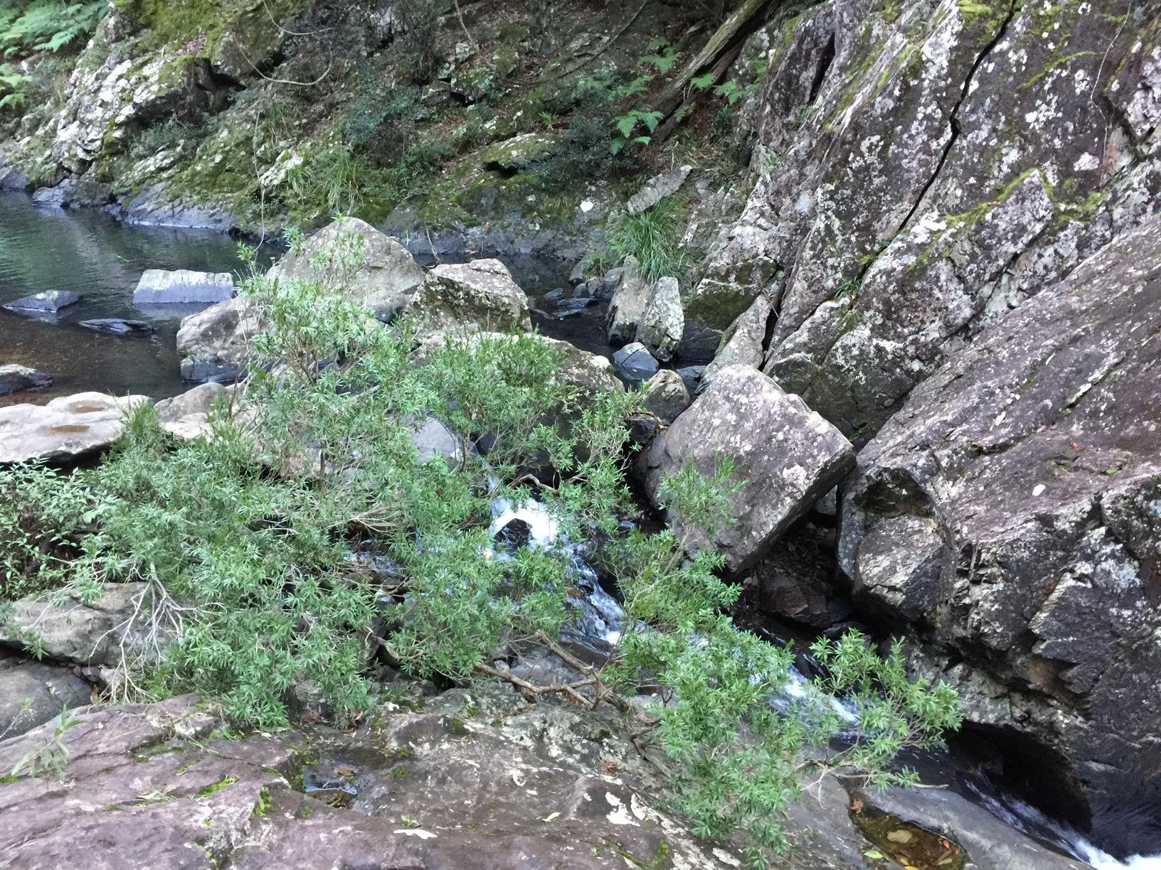 Conondale National Park Booloumba Falls Adventure